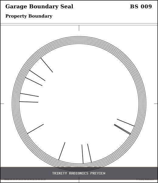 Garage Boundary Seal Radial radionics card preview