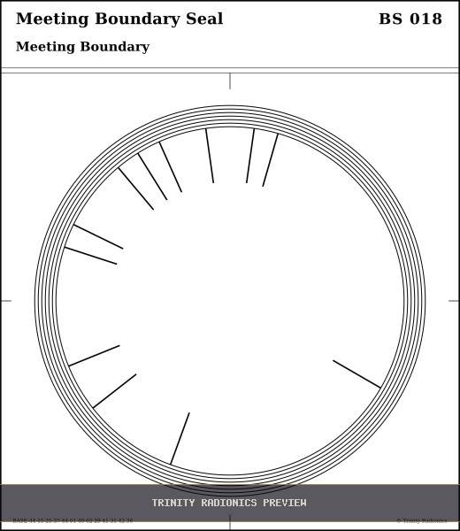 Meeting Boundary Seal Radial radionics card preview