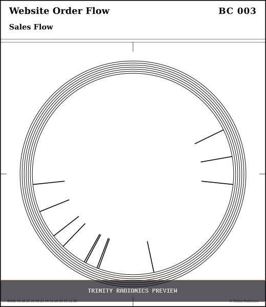 Website Order Flow Radial radionics card preview