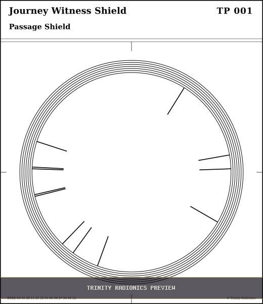 Journey Witness Shield Radial radionics card preview