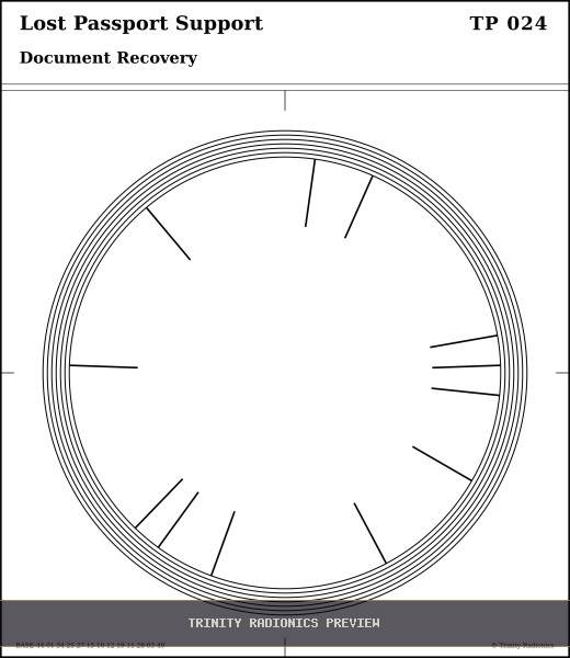 Lost Passport Support Radial radionics card preview