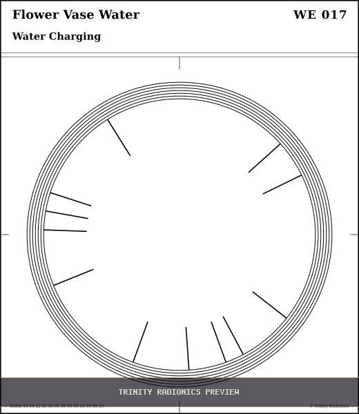 Flower Vase Water Radial radionics card preview
