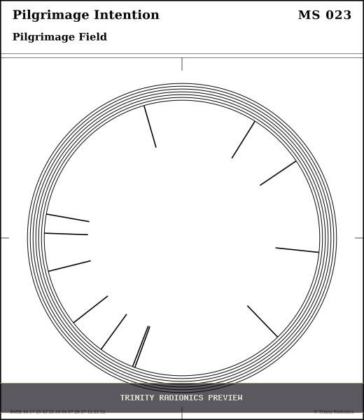 Pilgrimage Intention Radial radionics card preview
